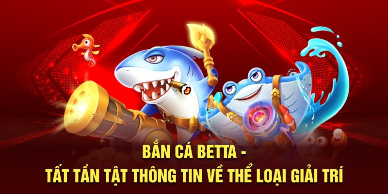 bắn cá betta