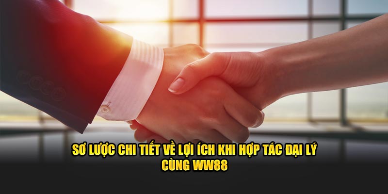 Sơ lược chi tiết về lợi ích khi hợp tác đại lý cùng WW88