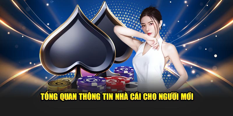 Tổng quan thông tin nhà cái cho người mới