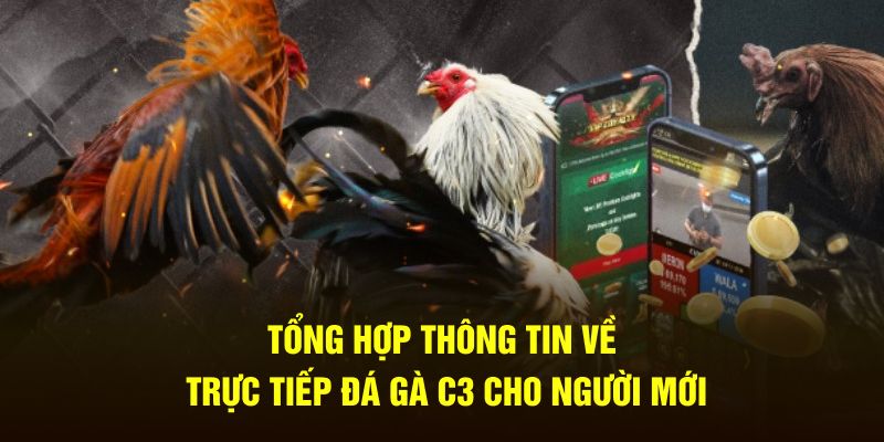 trực tiếp đá gà c3